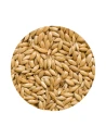 alpiste para aves PREMIFOOD JARAD 5 kg